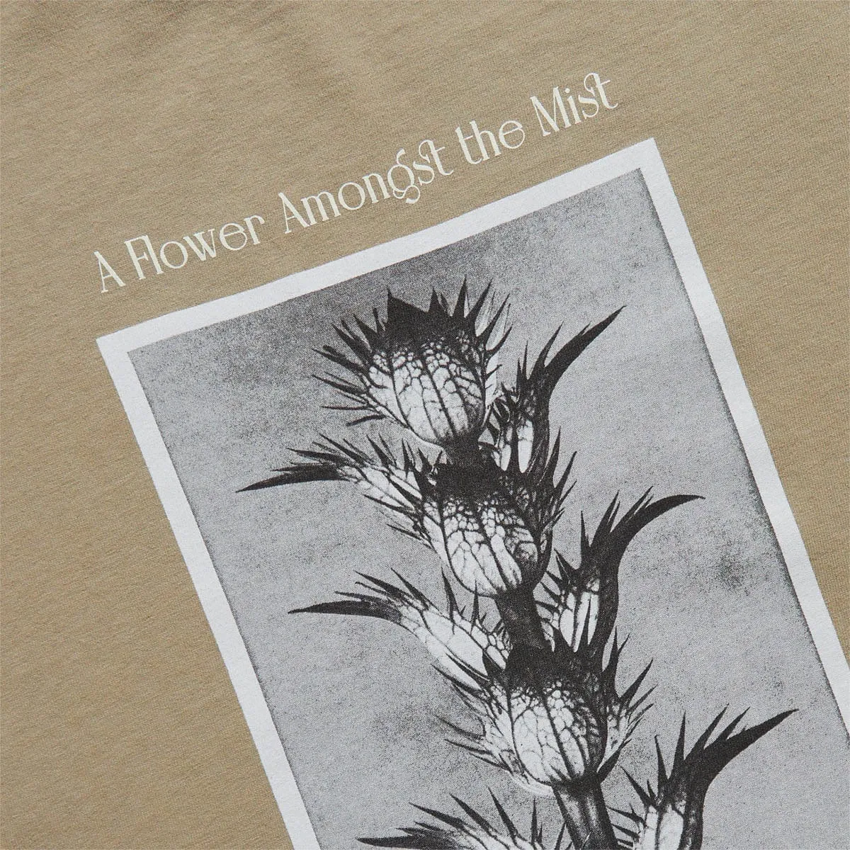 ACANTHUS T-SHIRT