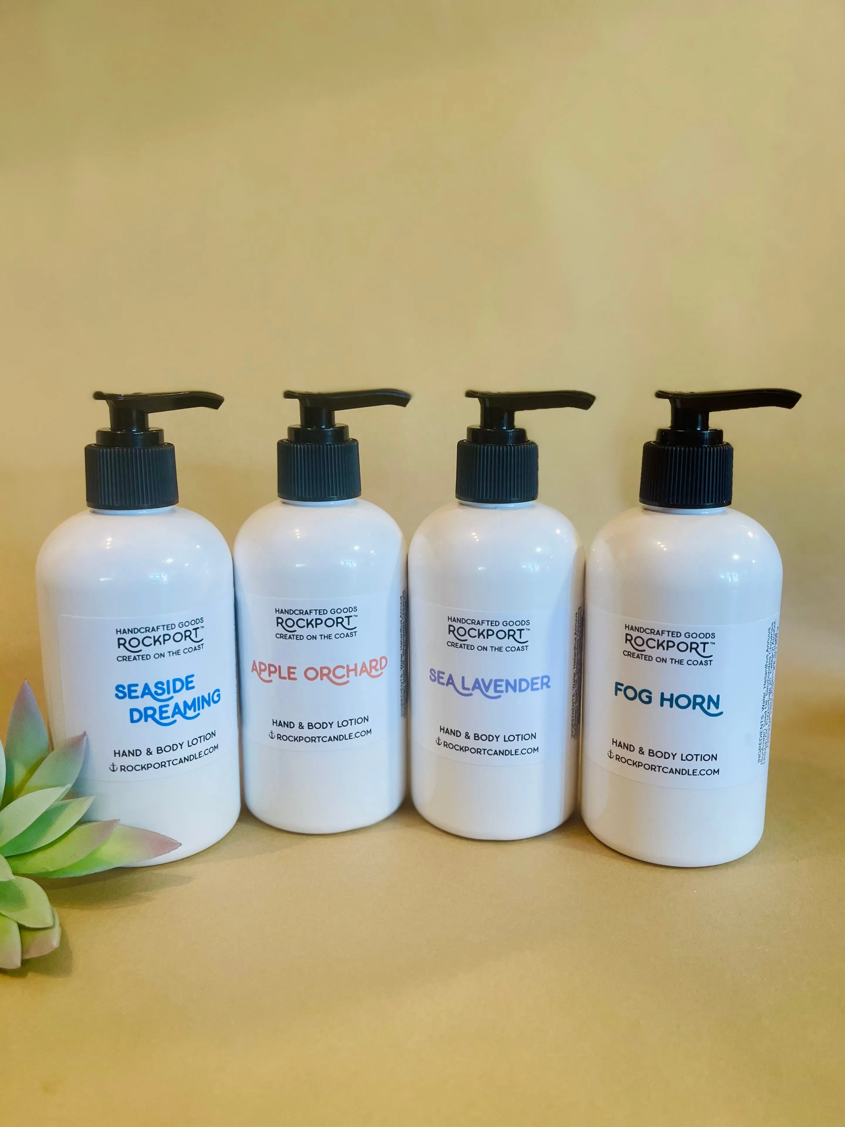 Hand & Body Lotion
